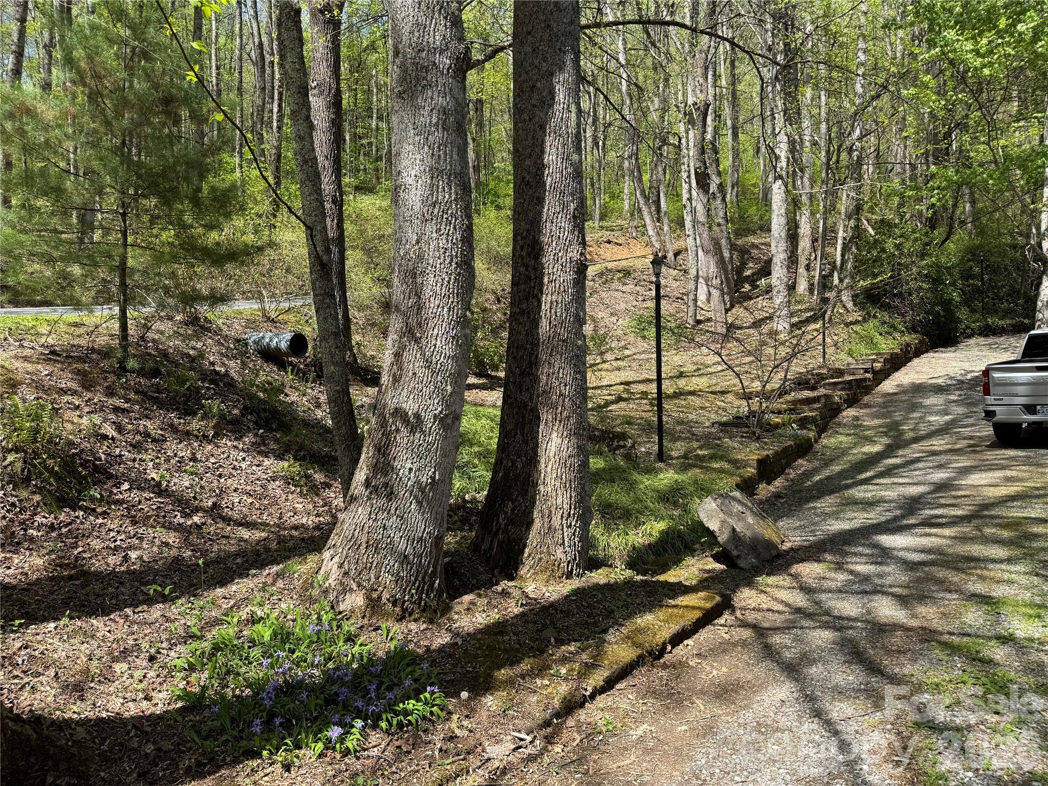 1618 Walnut Creek Road Waynesville NC 28786