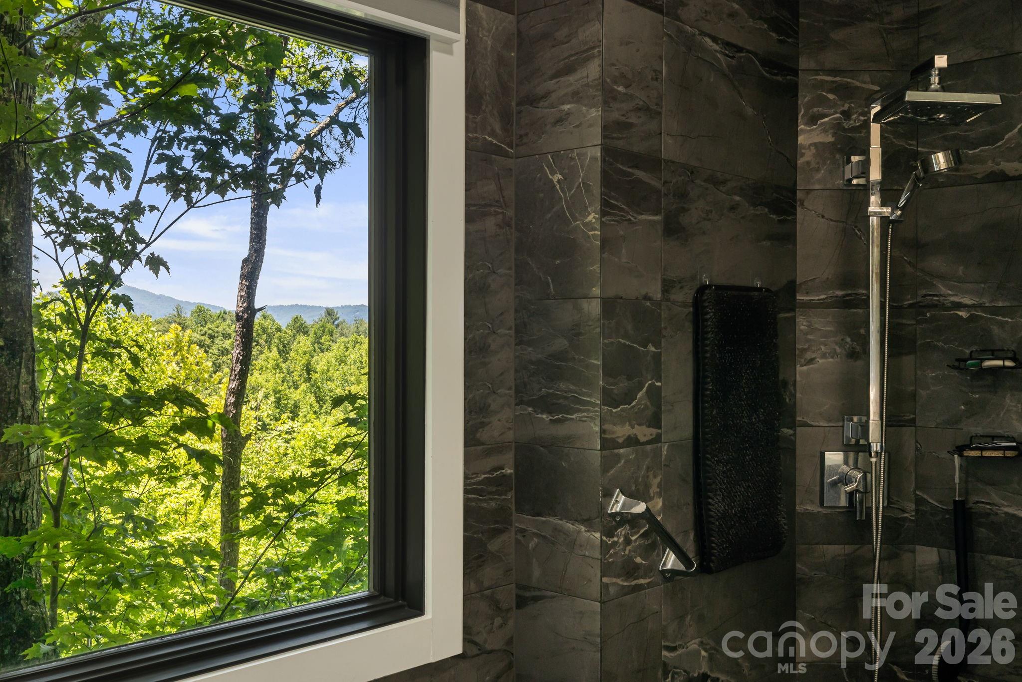 5 Saddle Ridge Fletcher NC 28732