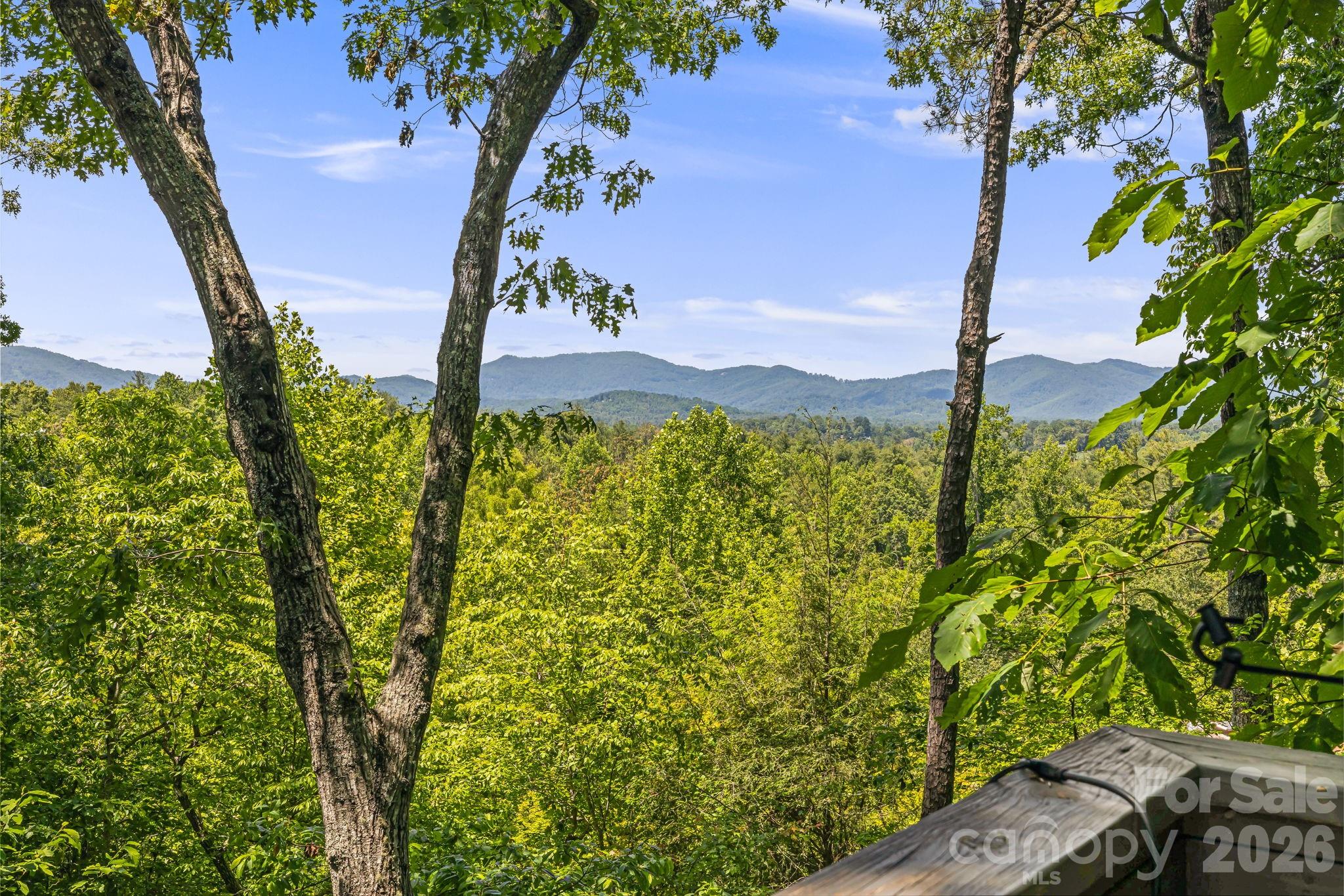 5 Saddle Ridge Fletcher NC 28732