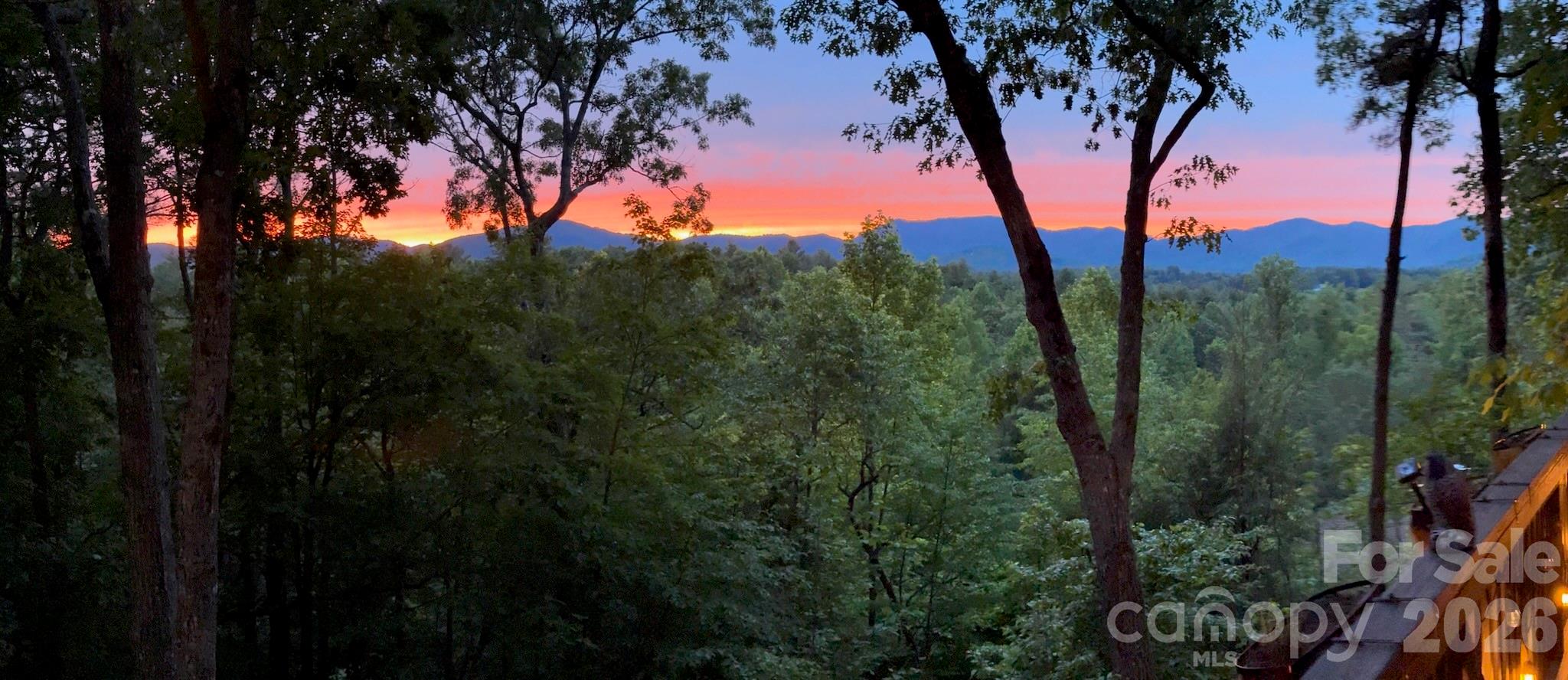 5 Saddle Ridge Fletcher NC 28732