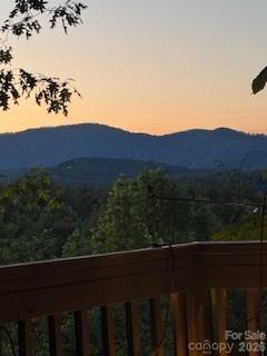 5 Saddle Ridge Fletcher NC 28732