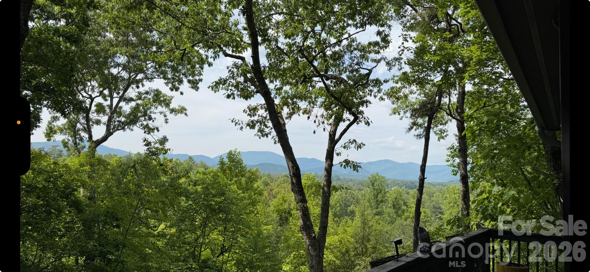 5 Saddle Ridge Fletcher NC 28732