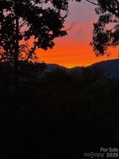 5 Saddle Ridge Fletcher NC 28732