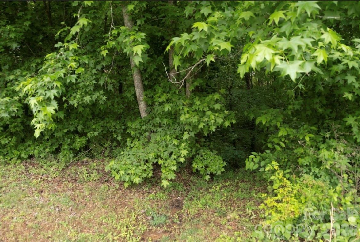 5942 Timbertop Lane Charlotte NC 28215