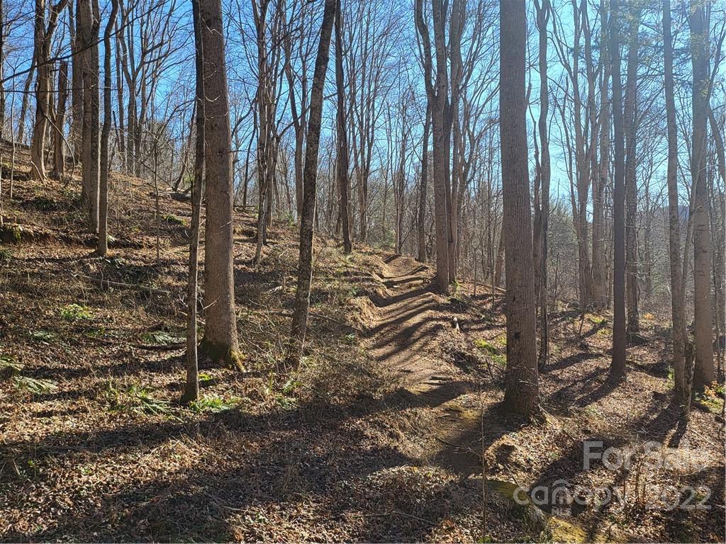 618 Sweet Hollow Road Burnsville NC 28714