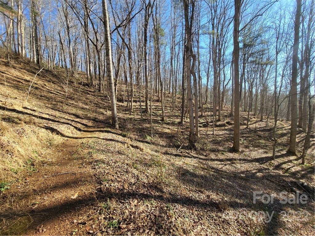 618 Sweet Hollow Road Burnsville NC 28714