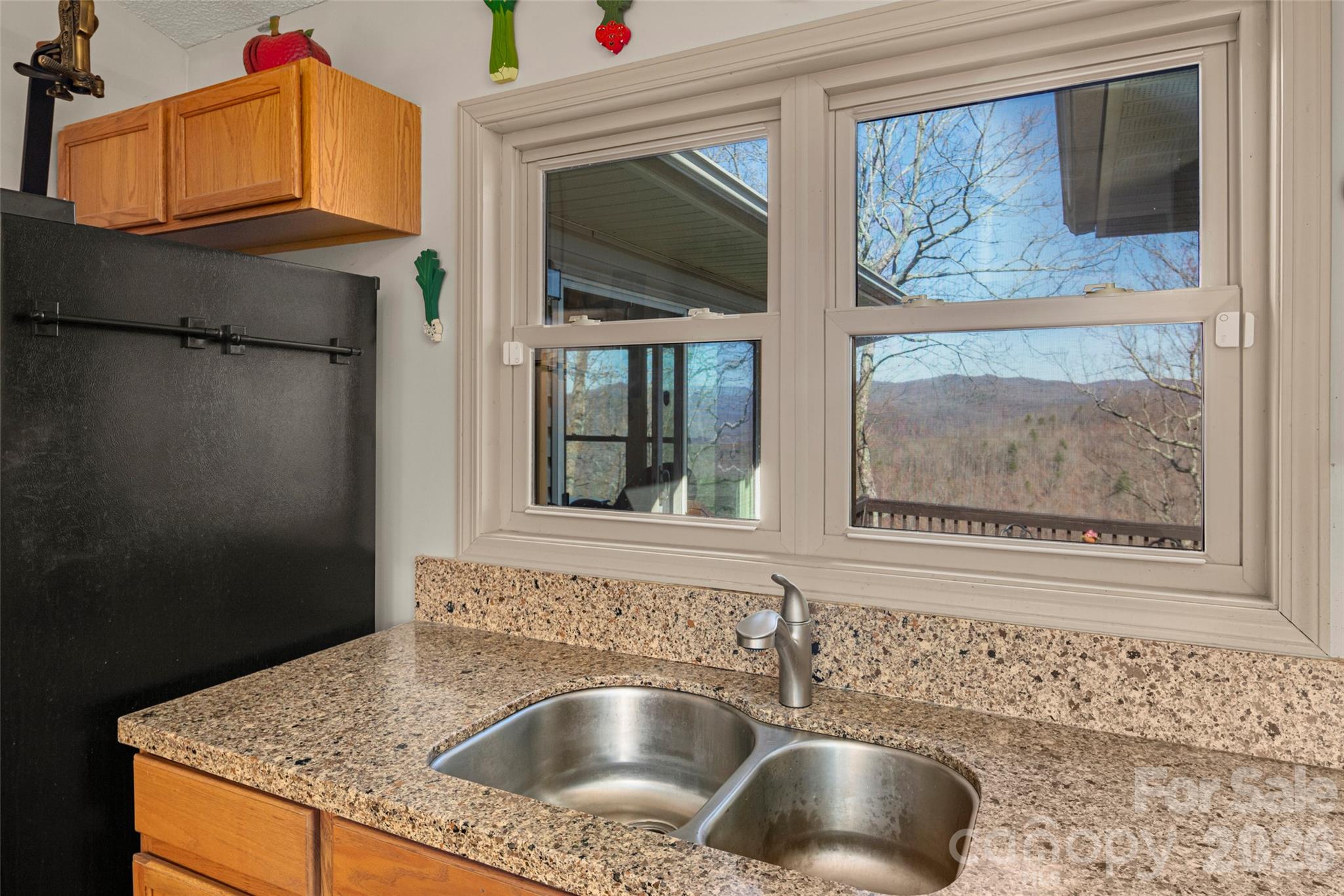 405 Glen Echo Circle Saluda NC 28773