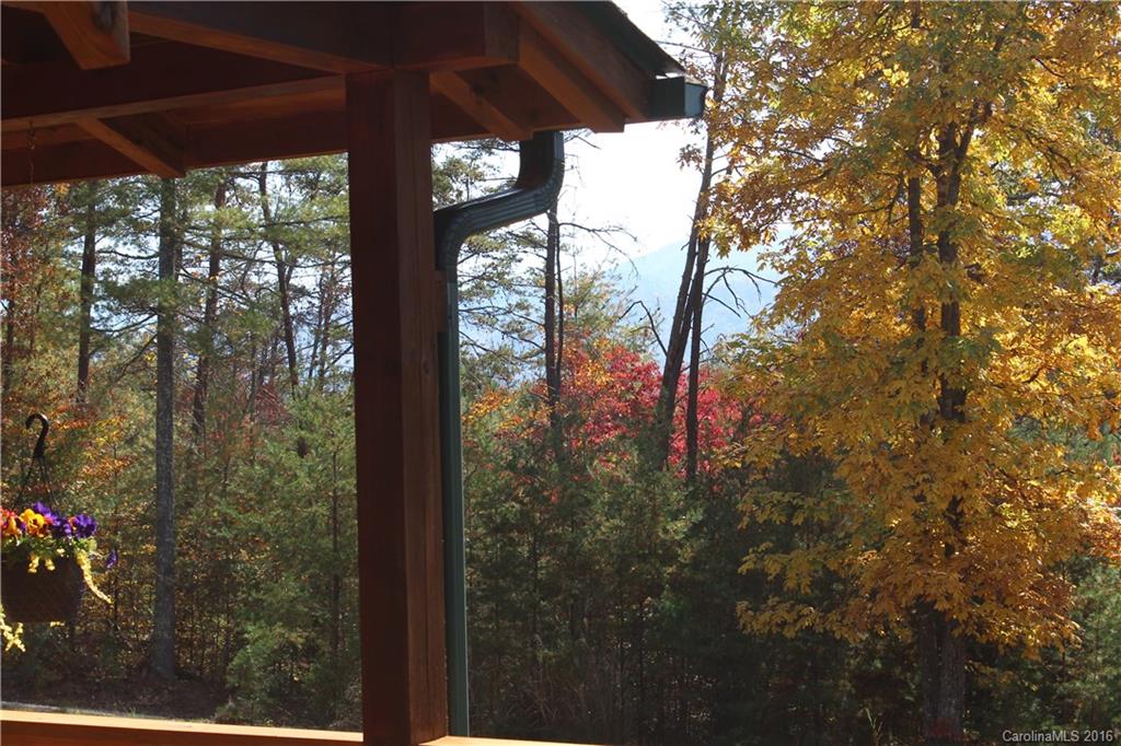 20 Badger Trail Weaverville NC 28787