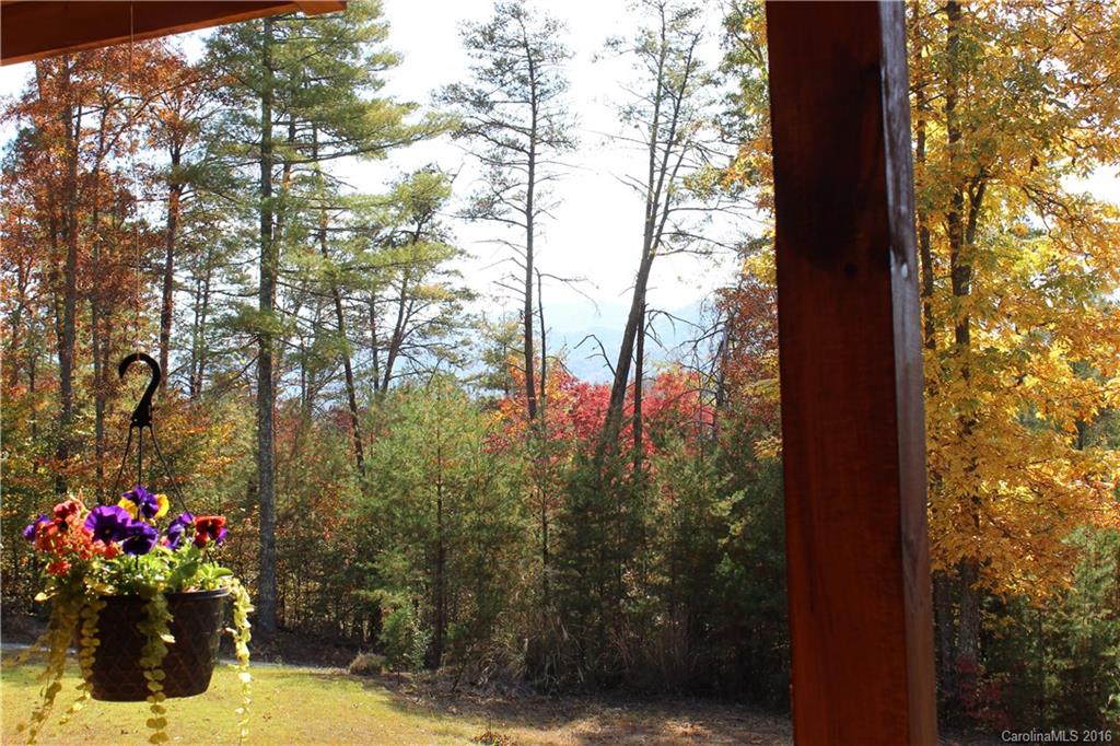 20 Badger Trail Weaverville NC 28787