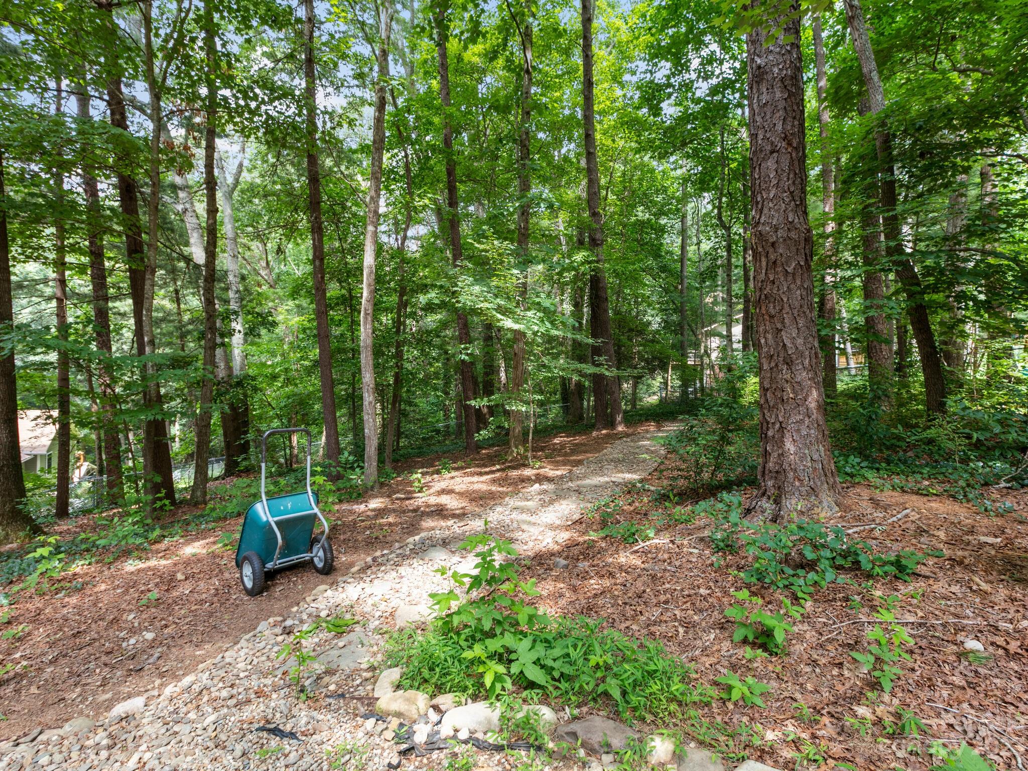 3 Jean Drive Asheville NC 28803