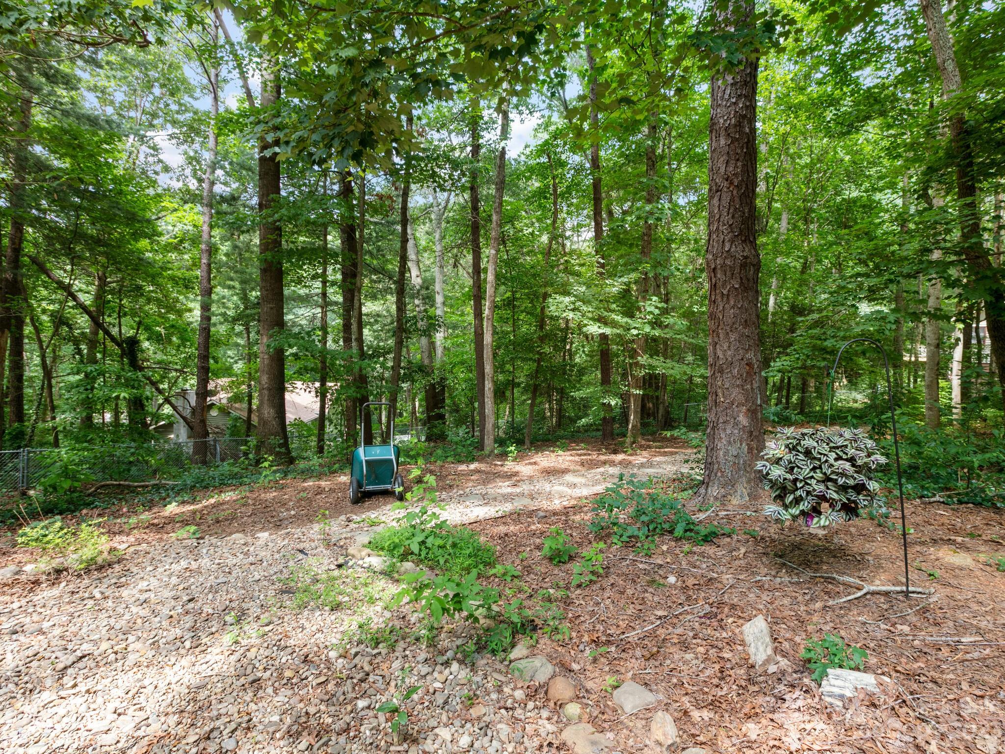 3 Jean Drive Asheville NC 28803