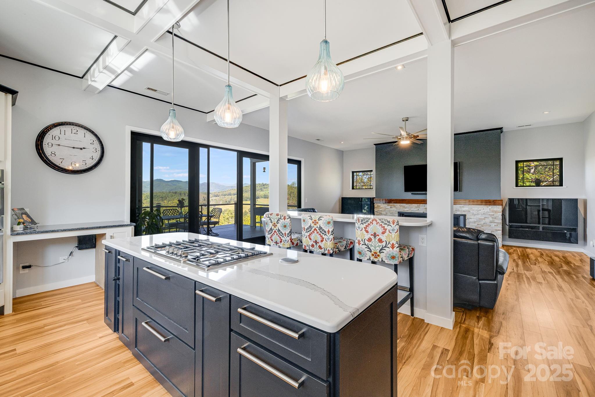 1387 Woods Ammons Road Mars Hill NC 28754