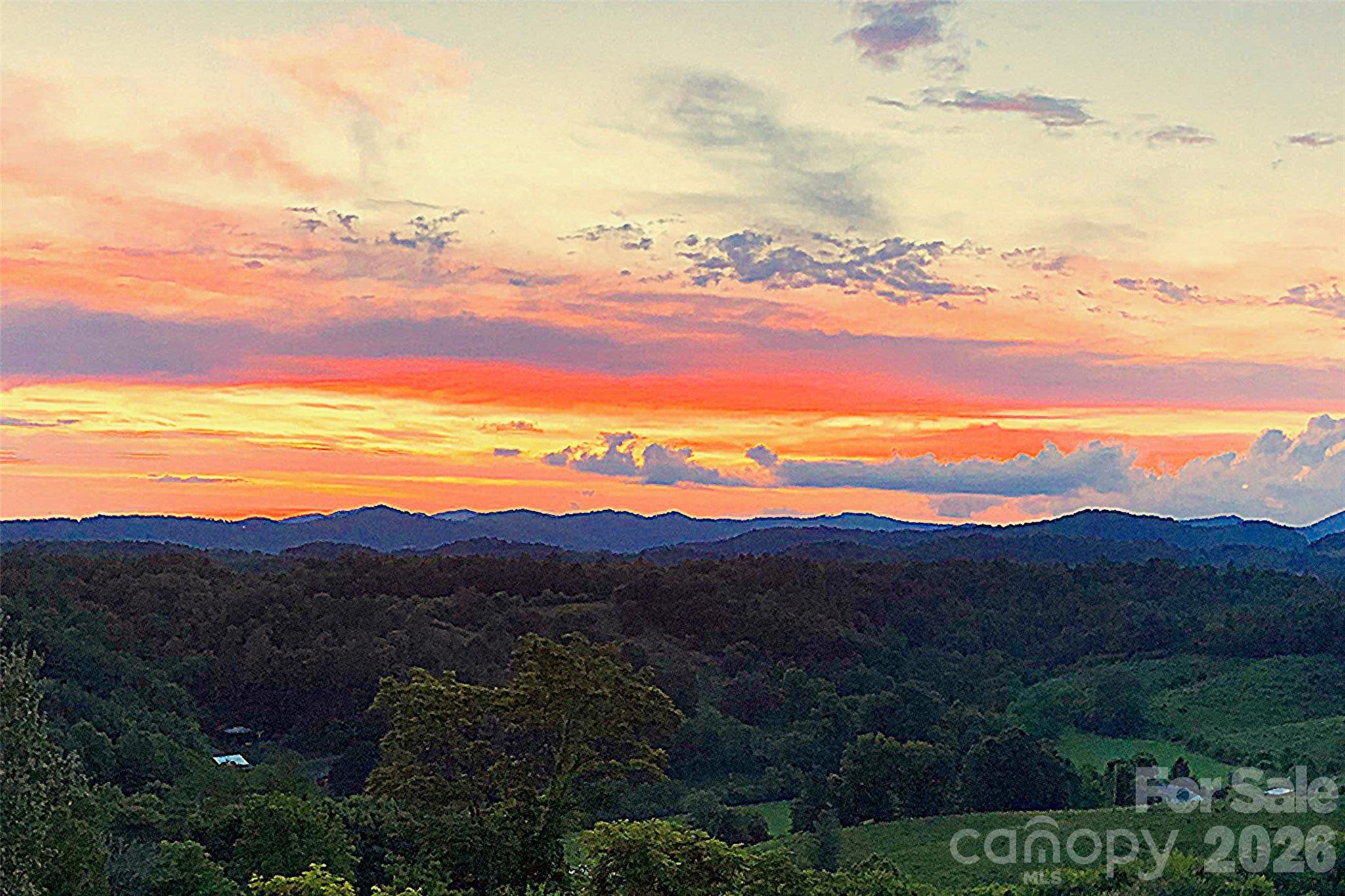 1387 Woods Ammons Road Mars Hill NC 28754