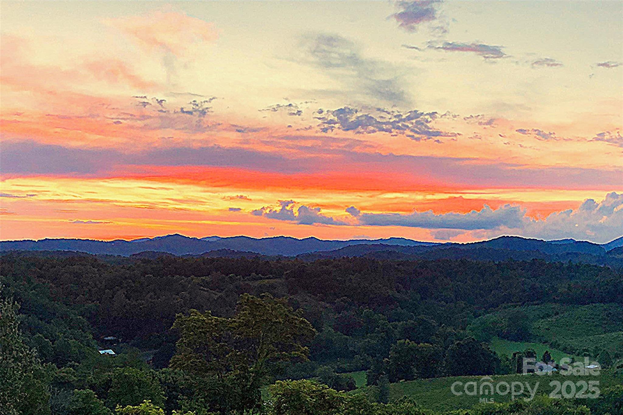 1387 Woods Ammons Road Mars Hill NC 28754