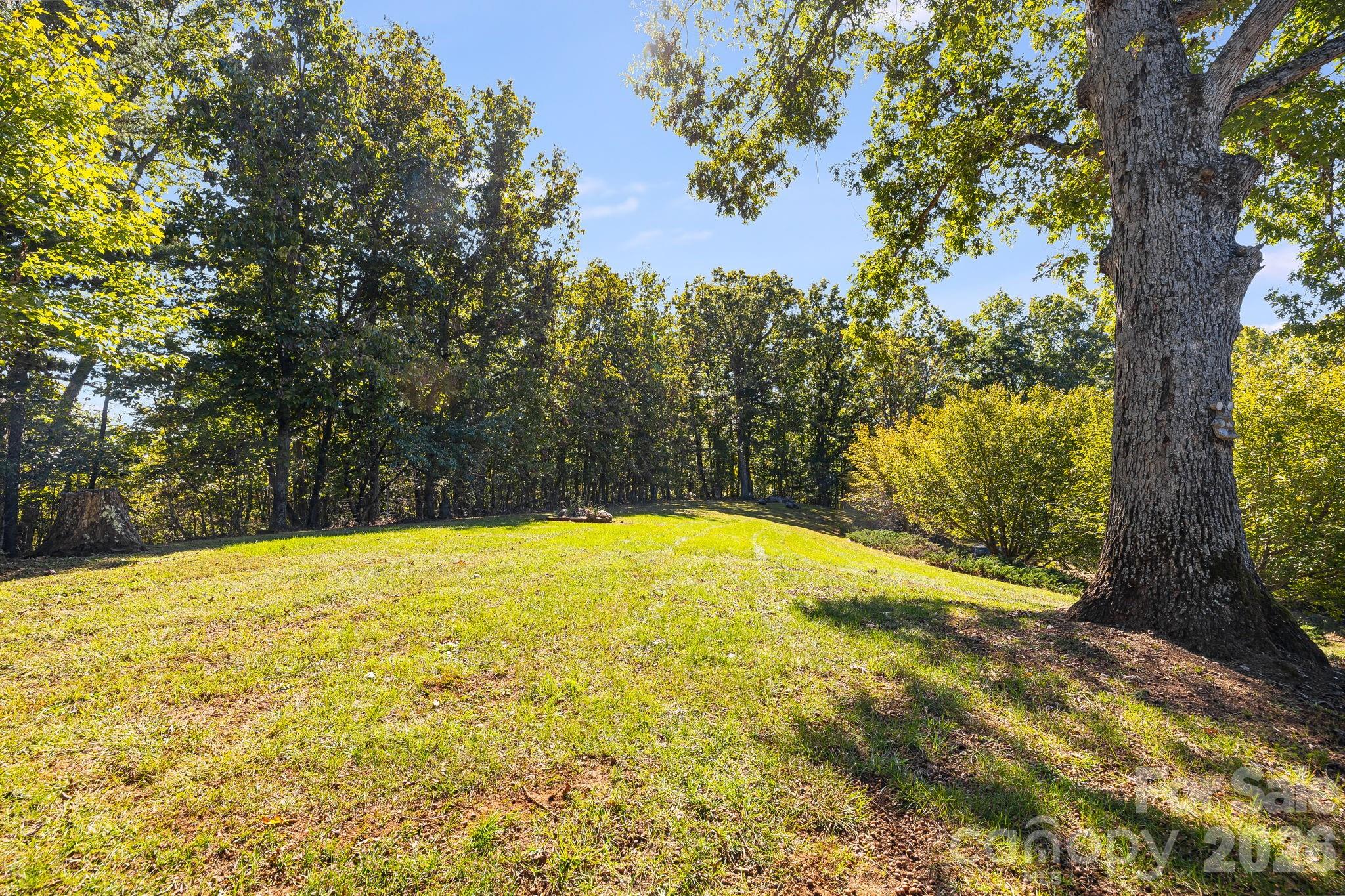 1387 Woods Ammons Road Mars Hill NC 28754