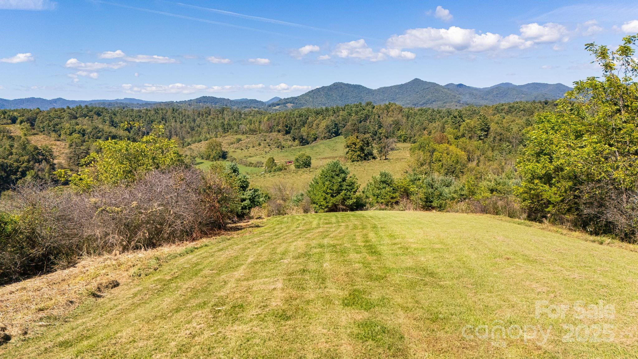 1387 Woods Ammons Road Mars Hill NC 28754