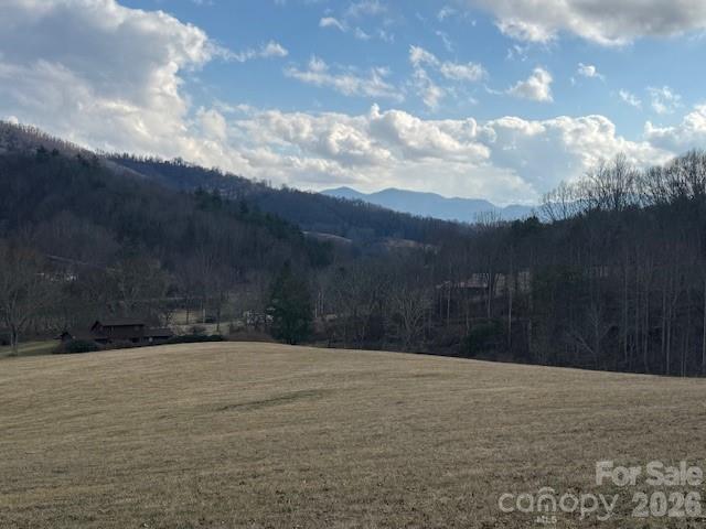 132 Hurd Road Canton NC 28716