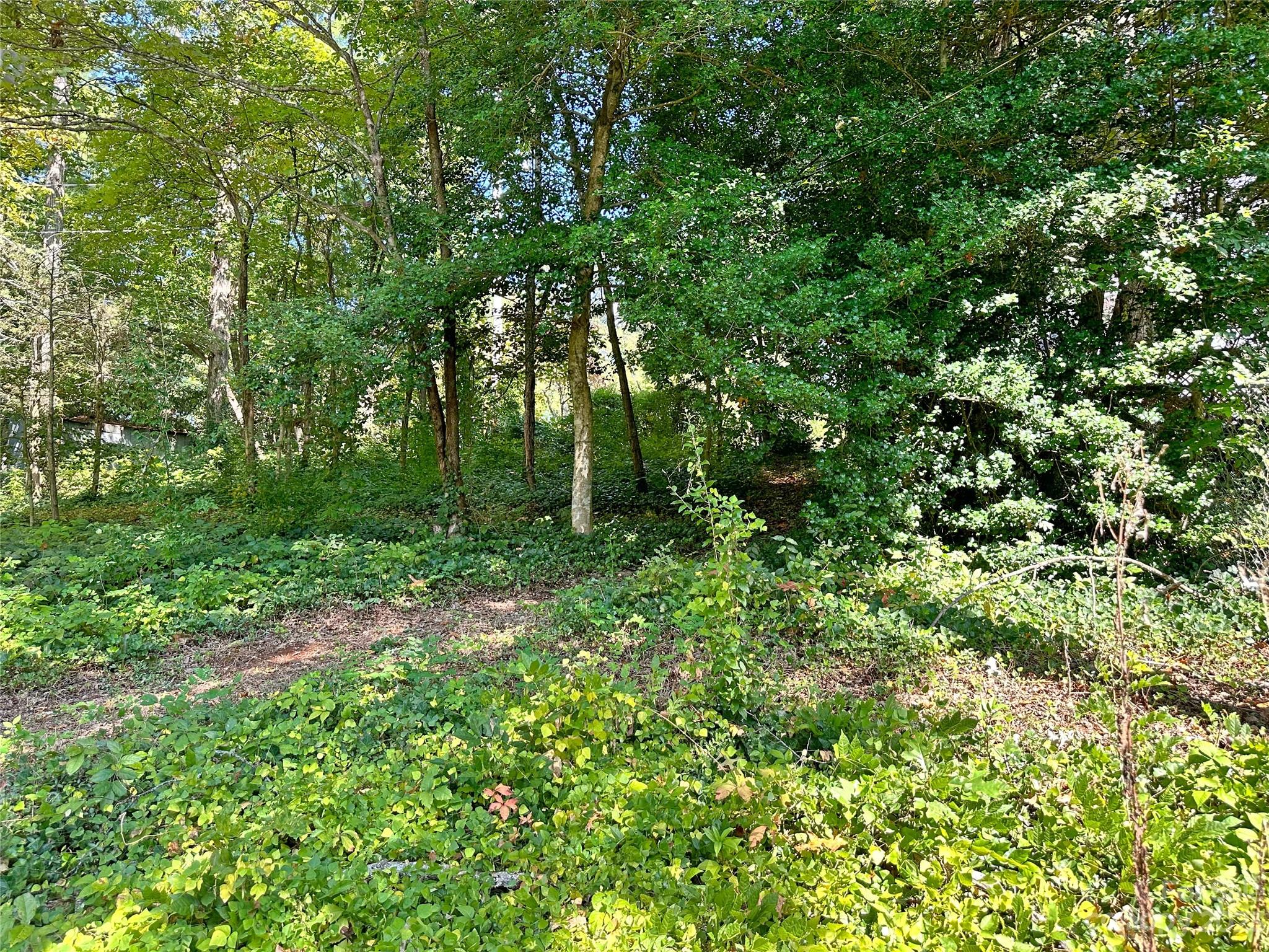 324 Buzzards Roost Road Cullowhee NC 28723