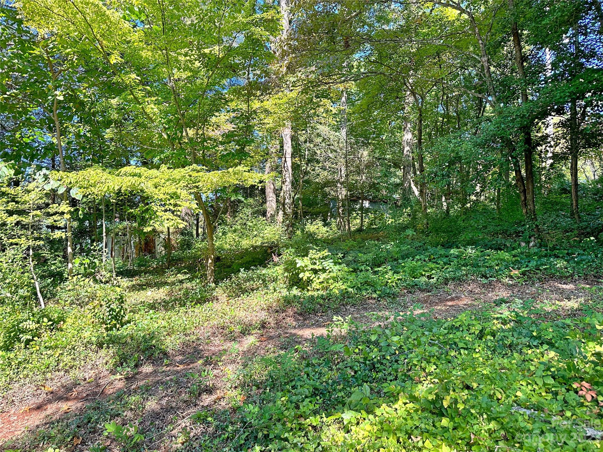 324 Buzzards Roost Road Cullowhee NC 28723