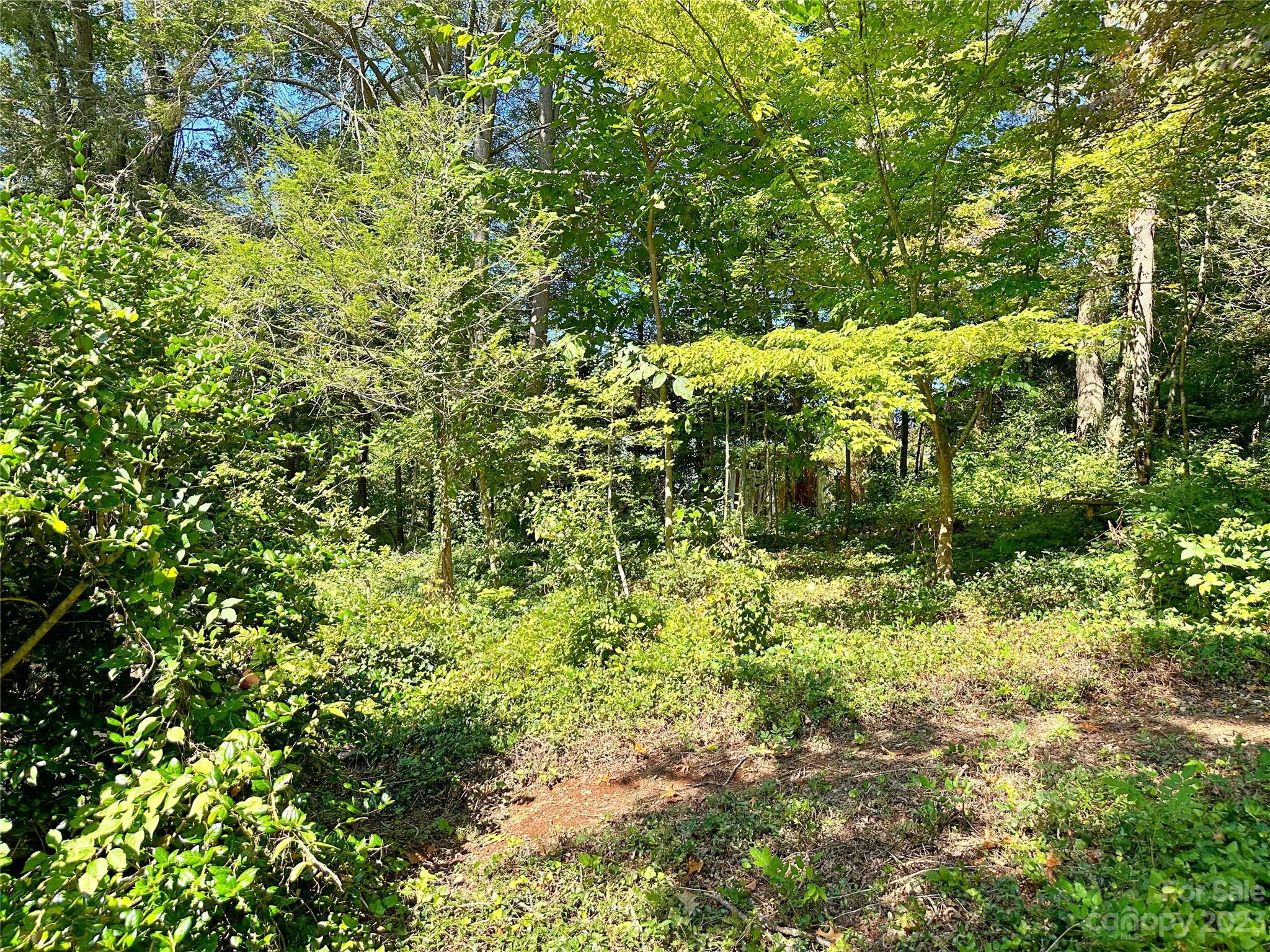 324 Buzzards Roost Road Cullowhee NC 28723