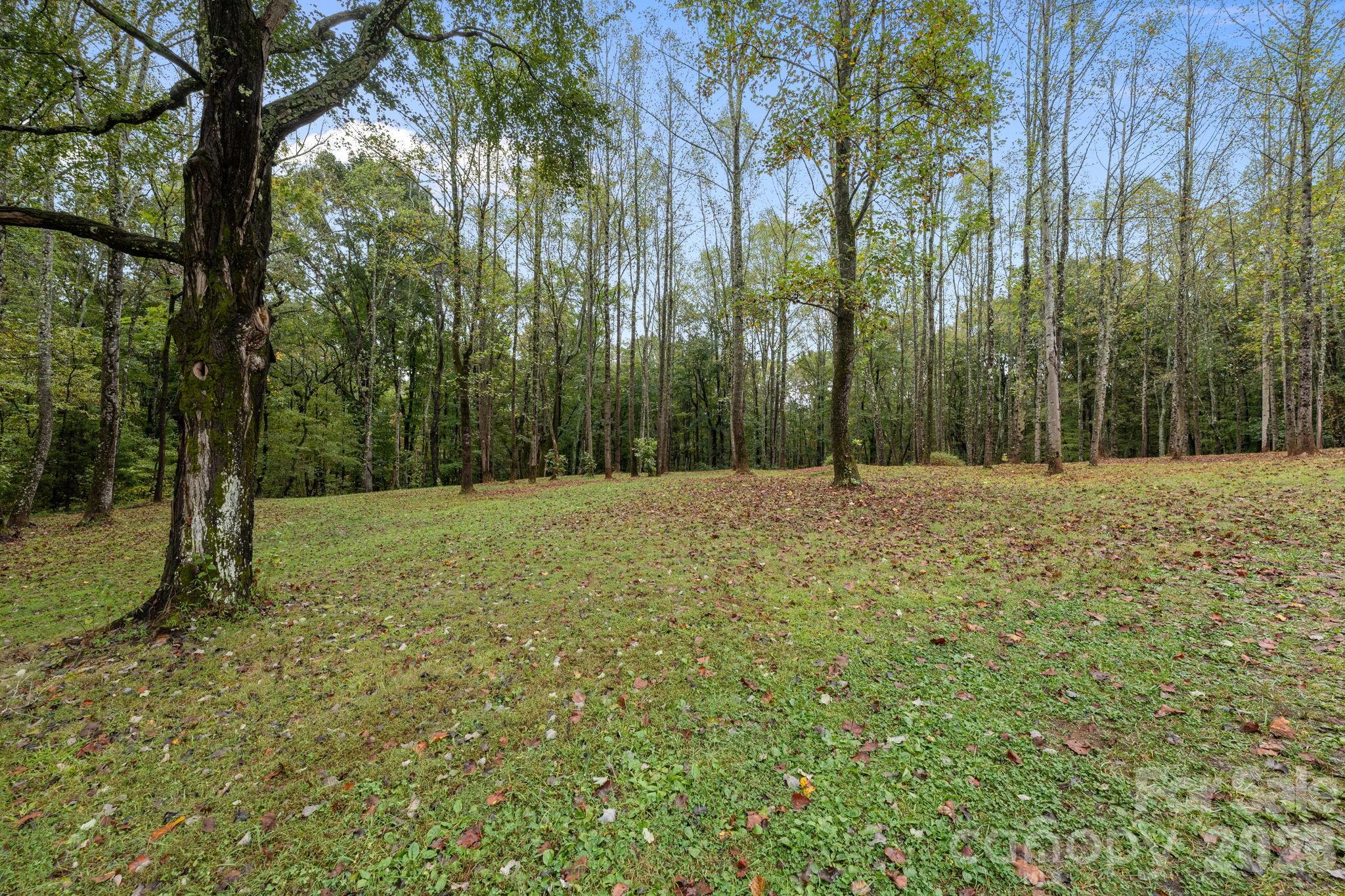 1626 Nc Highway 704 Highway E Lawsonville NC 27022