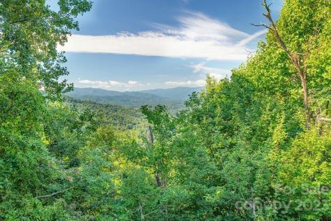 40 Hawks View Drive Canton NC 28716