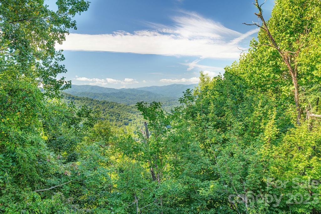 40 Hawks View Drive Canton NC 28716