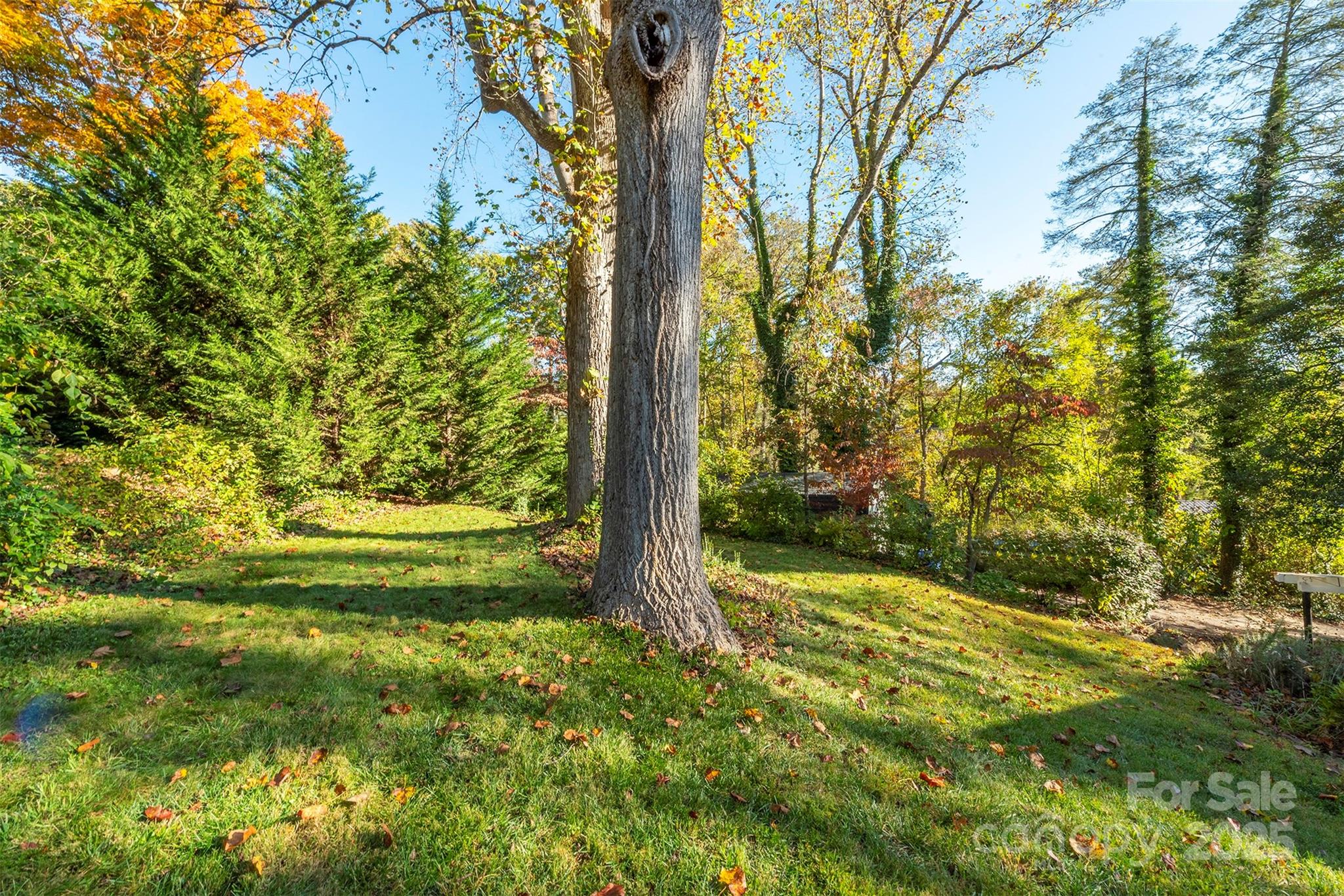 436 New Haw Creek Road Asheville NC 28805