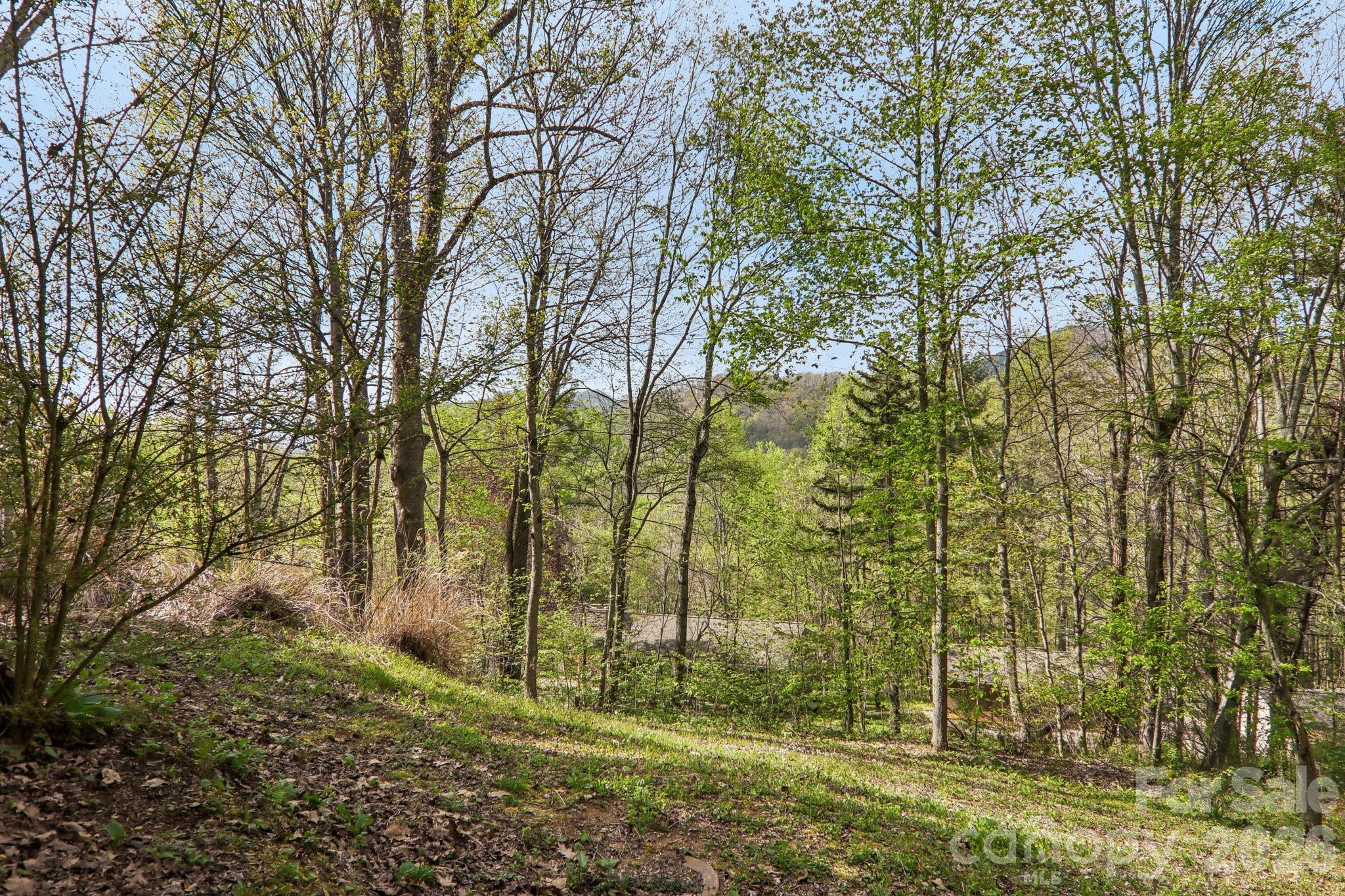 74 Link Circle Maggie Valley NC 28751