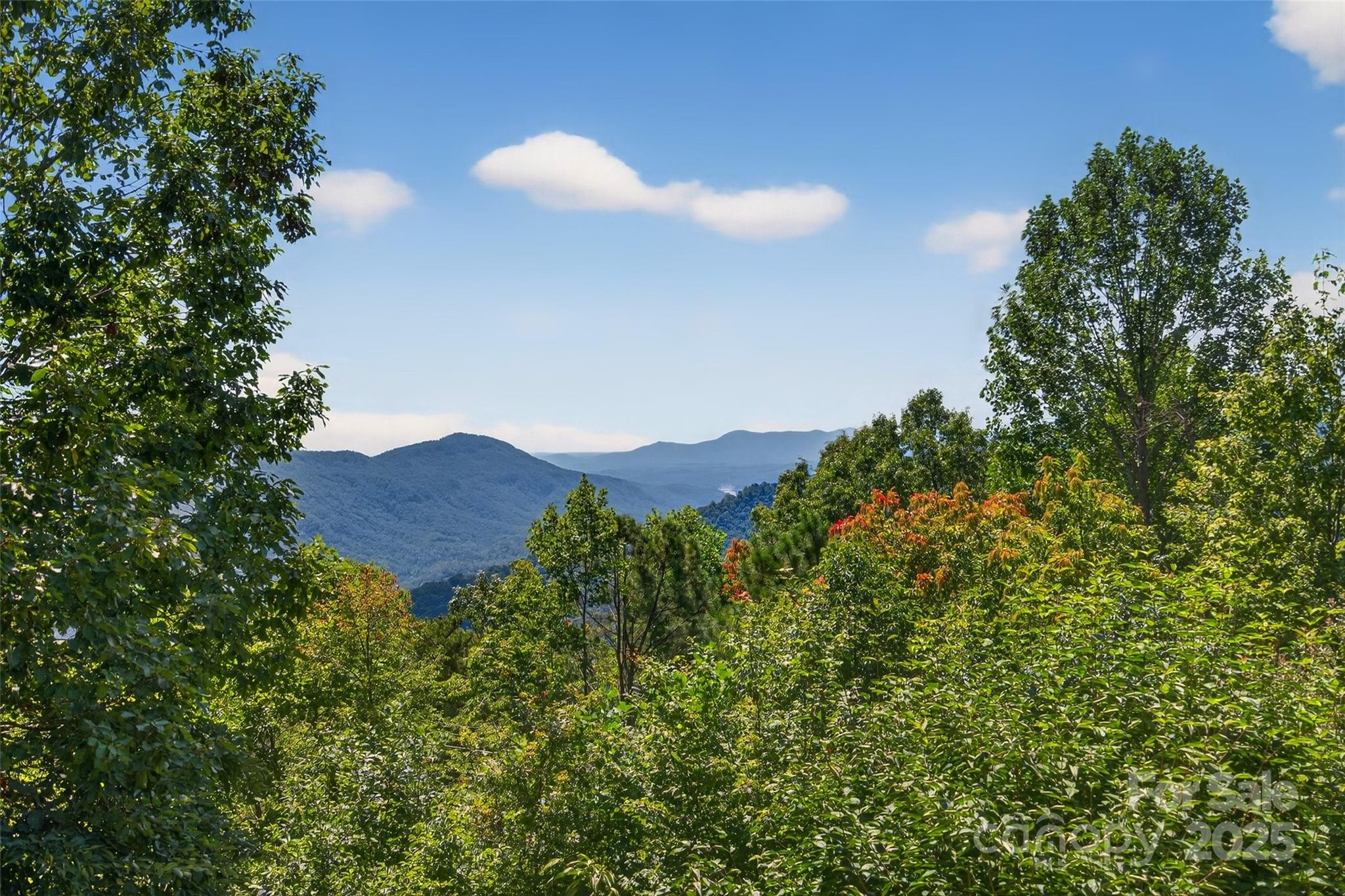 62 Skyline Drive Old Fort NC 28762