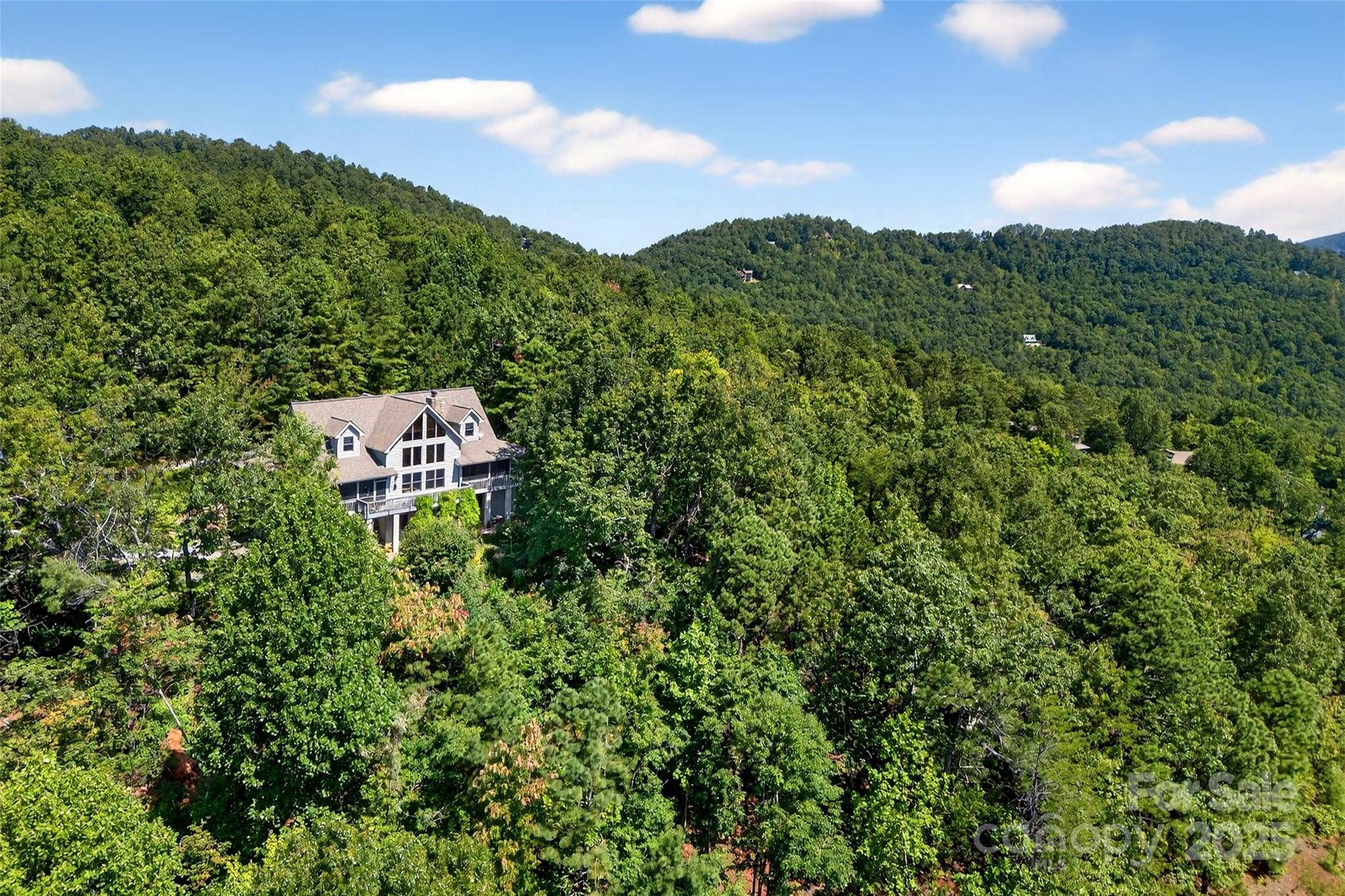 62 Skyline Drive Old Fort NC 28762