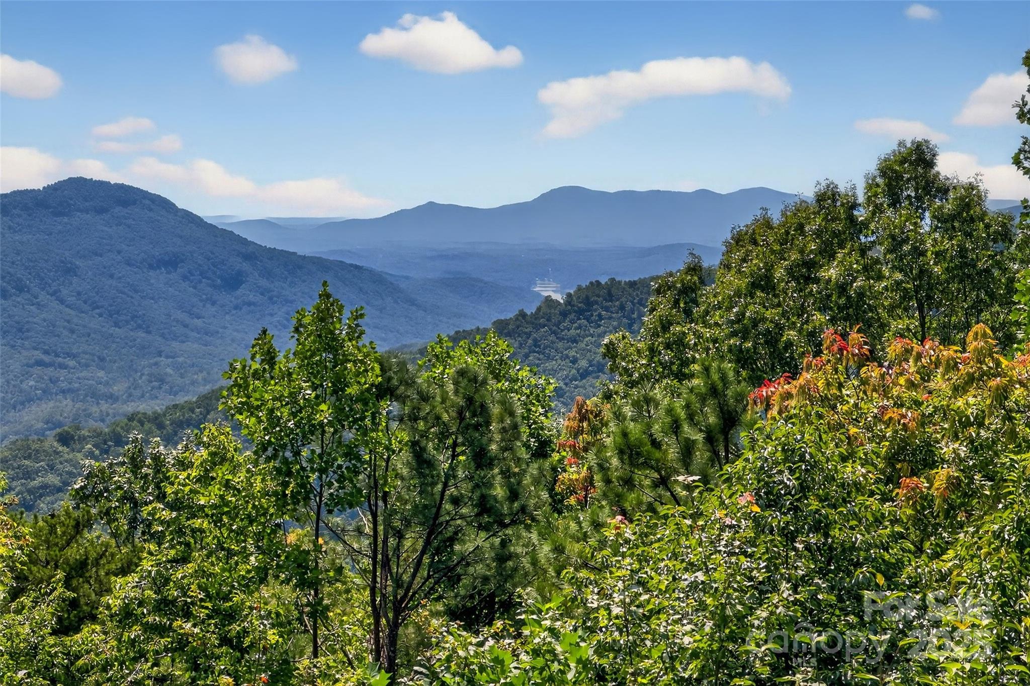 62 Skyline Drive Old Fort NC 28762