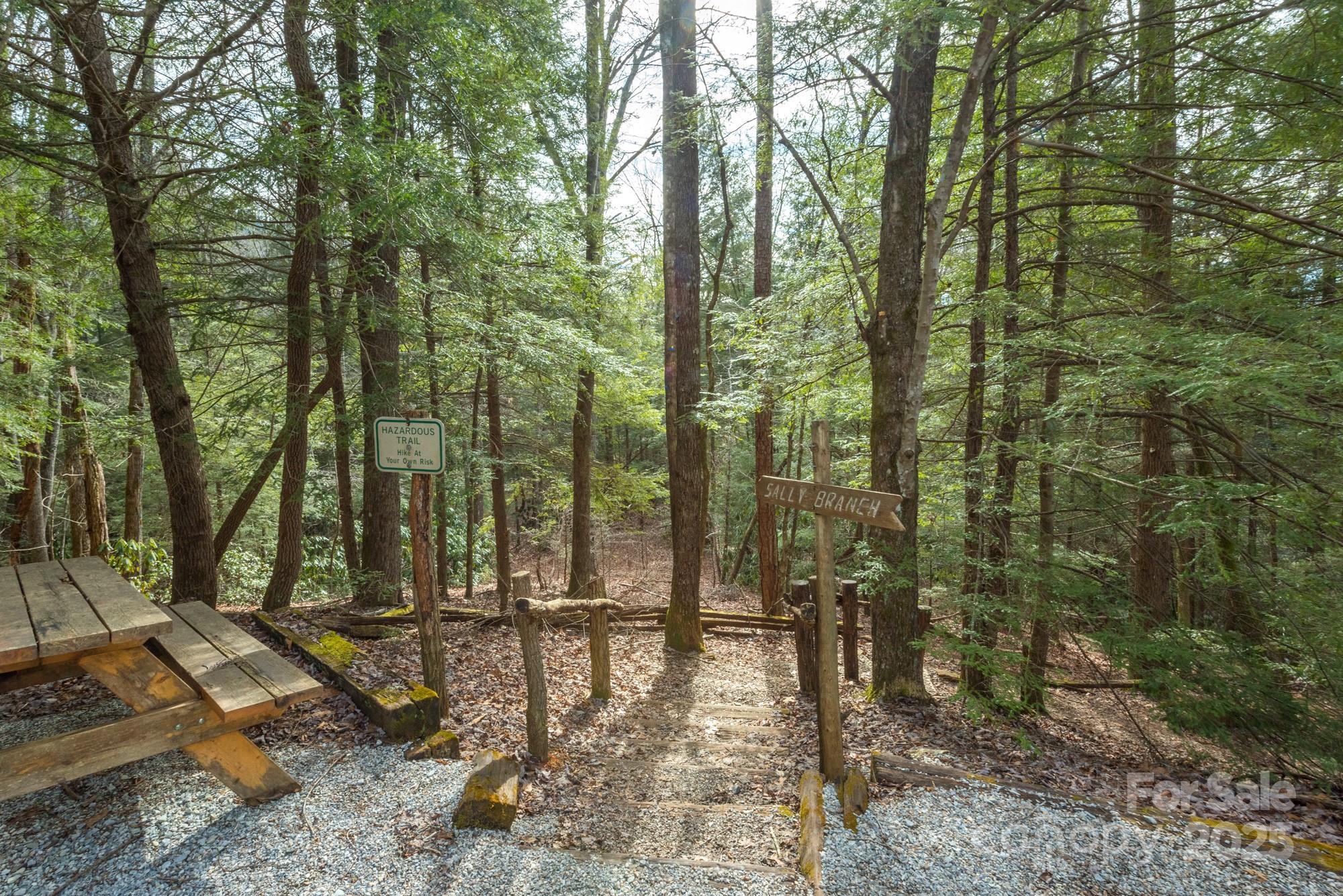 62 Skyline Drive Old Fort NC 28762