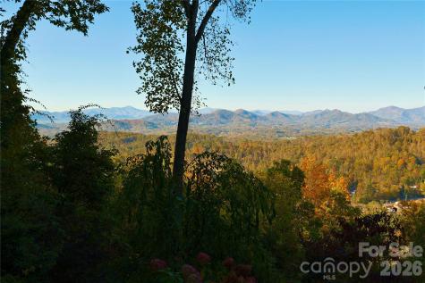 9 Soaring Hawk View Asheville NC 28804