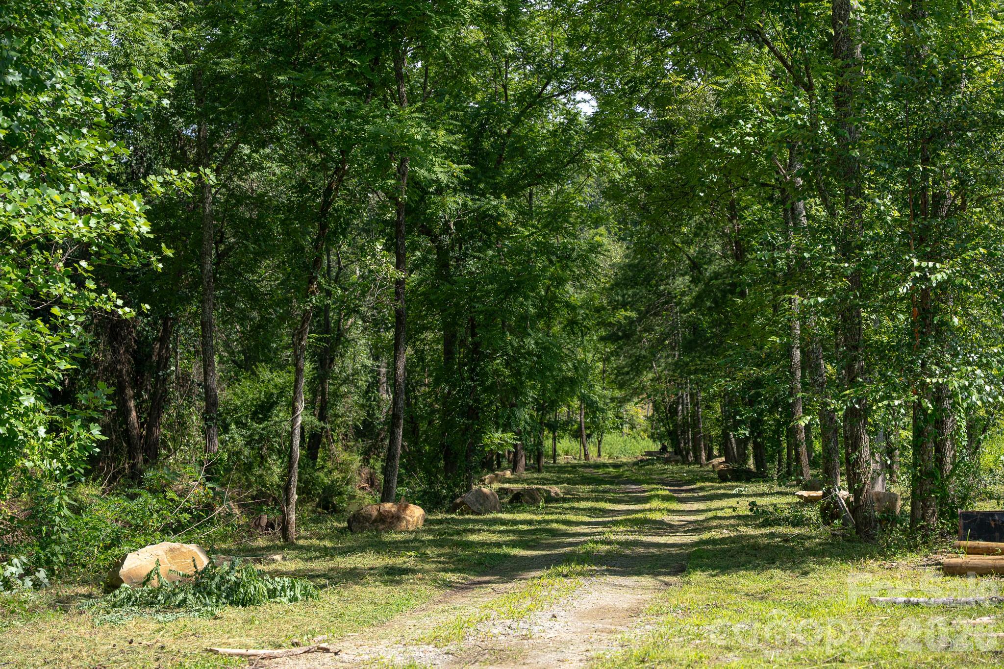 413 Big Hill Drive Arden NC 28704