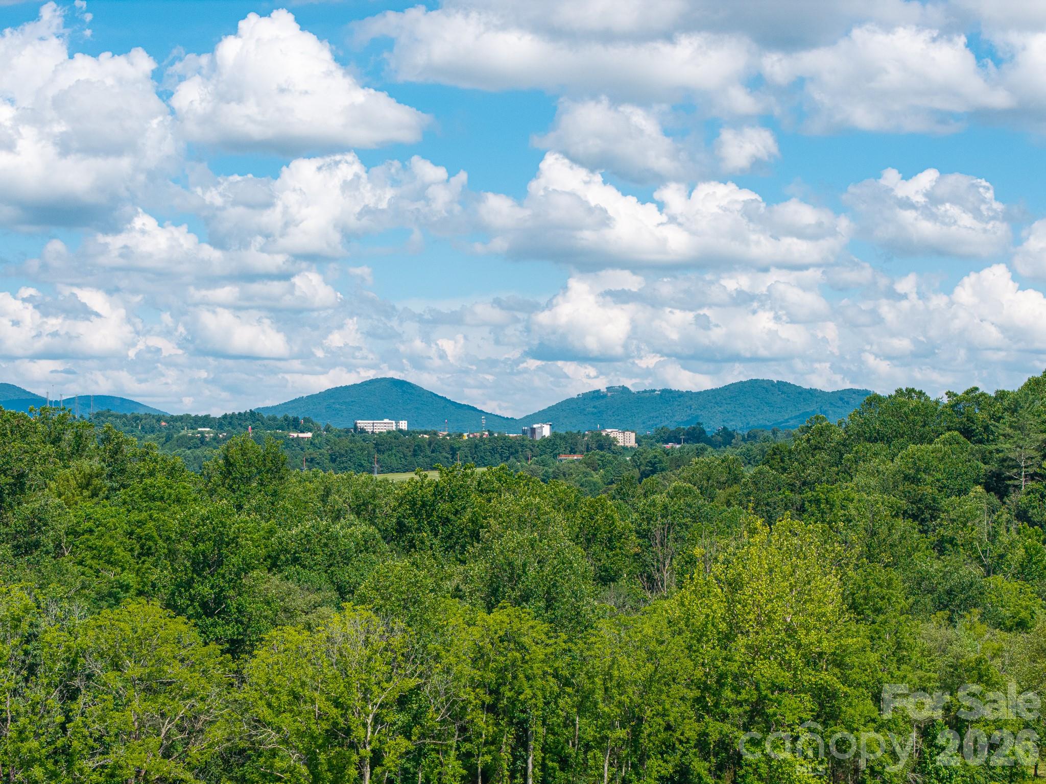 413 Big Hill Drive Arden NC 28704