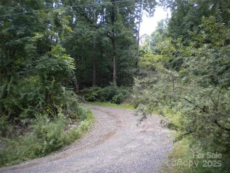 29 Toad Drive Asheville NC 28806