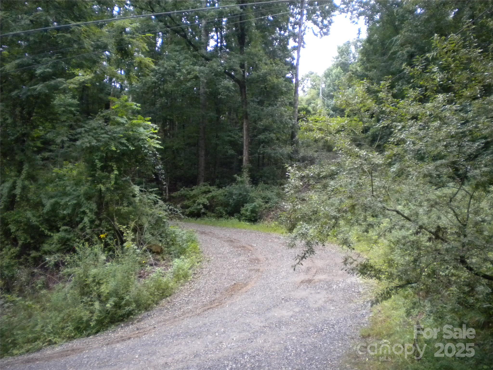 29 Toad Drive Asheville NC 28806