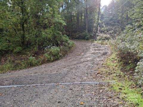 29 Toad Drive Asheville NC 28806