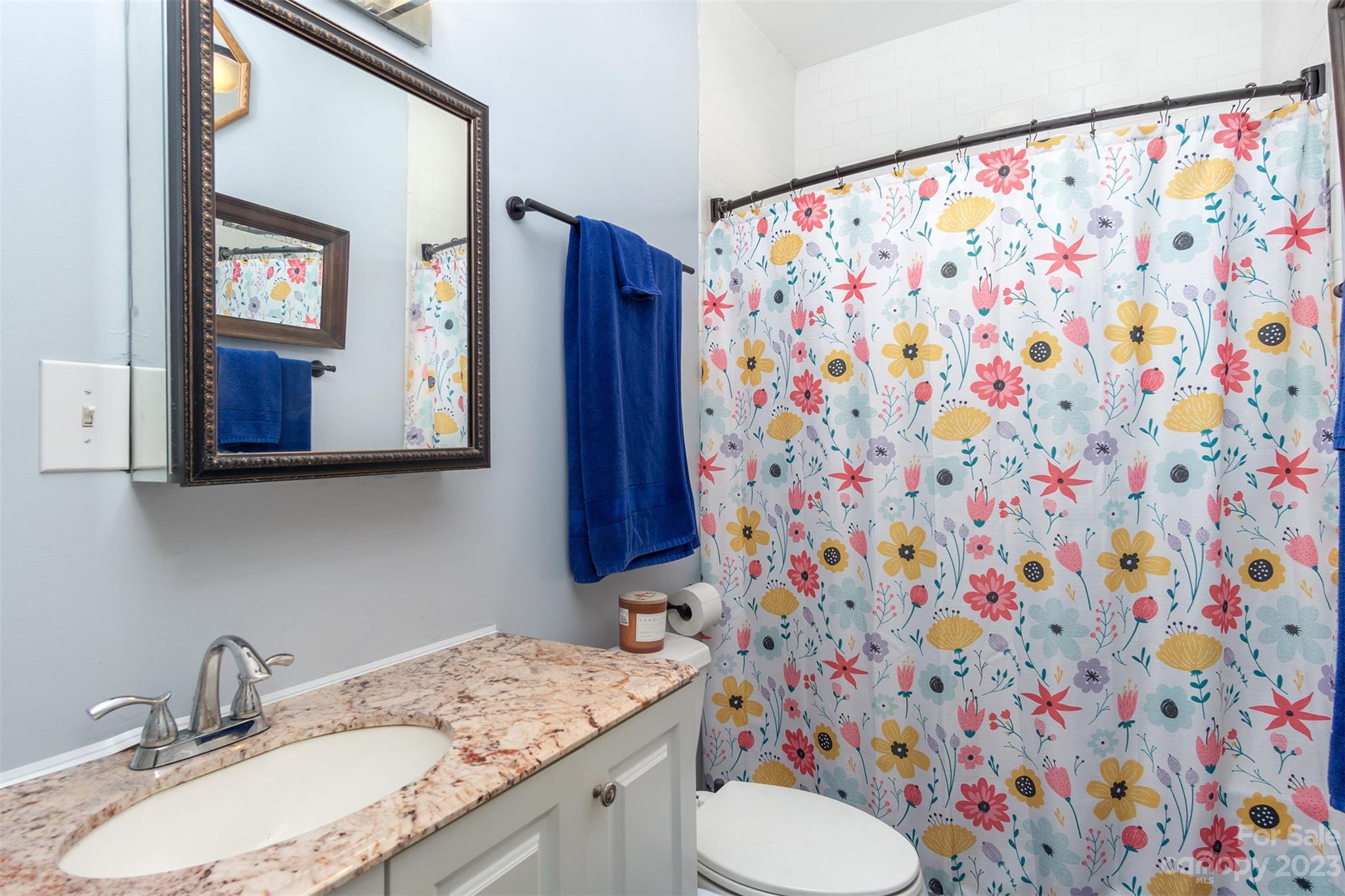 102 Short Street Swannanoa NC 28778