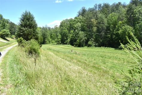 5595 Cloverfield Place Boomer NC 28606