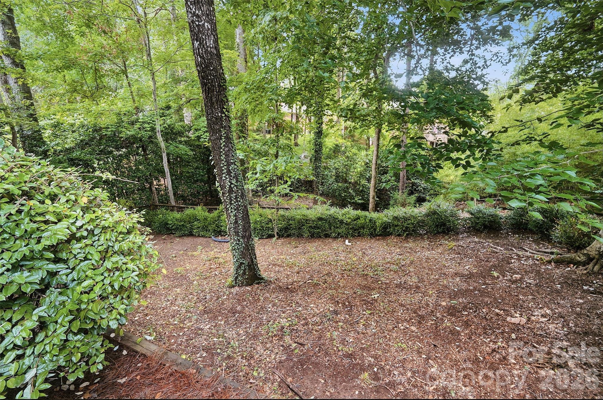 6535 Burlwood Road Charlotte NC 28211