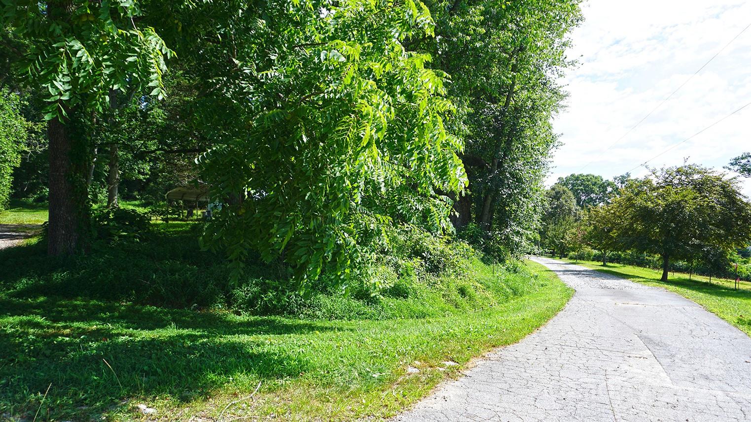 57 Sizer Drive Mills River NC 28759