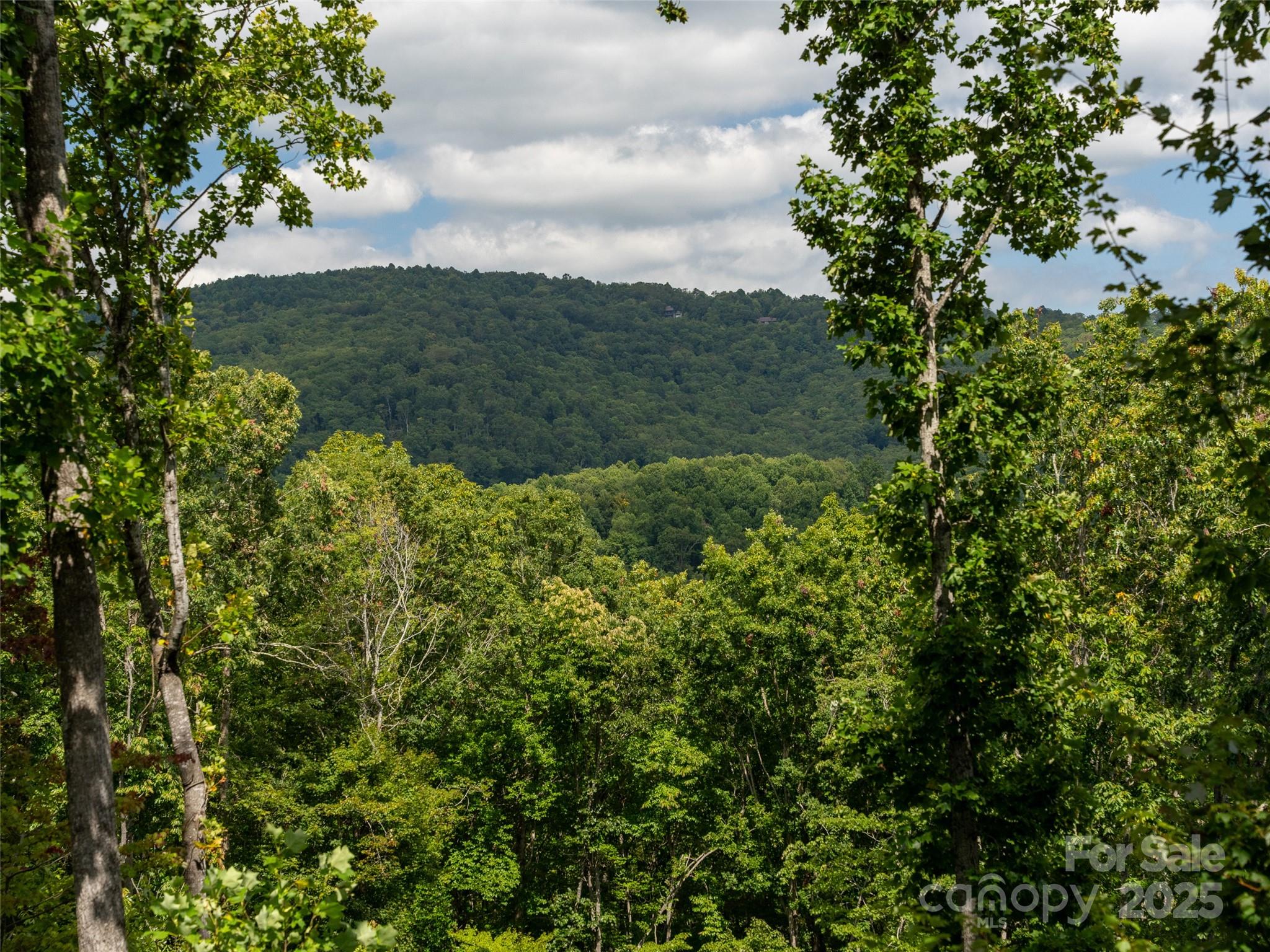 21 Windcliff Drive Asheville NC 28803