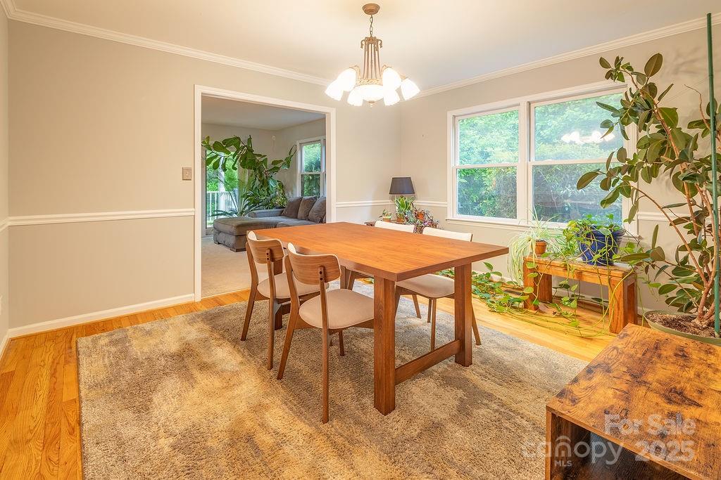 908 Newfound Road Leicester NC 28748