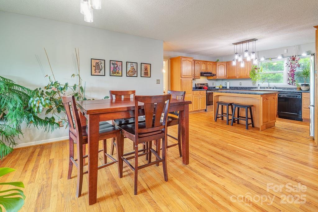 908 Newfound Road Leicester NC 28748