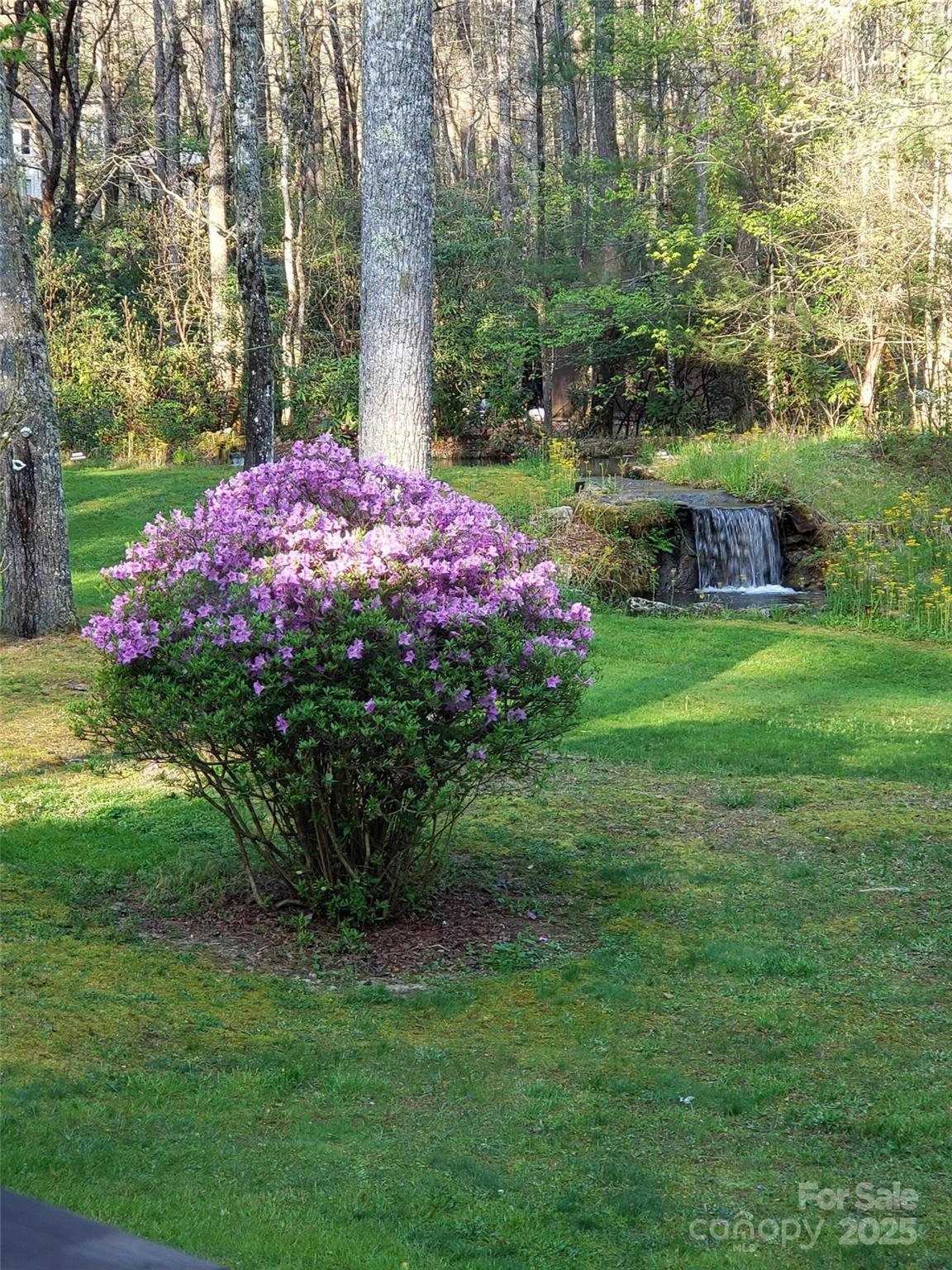 142 Cherrywood Lane Pisgah Forest NC 28768