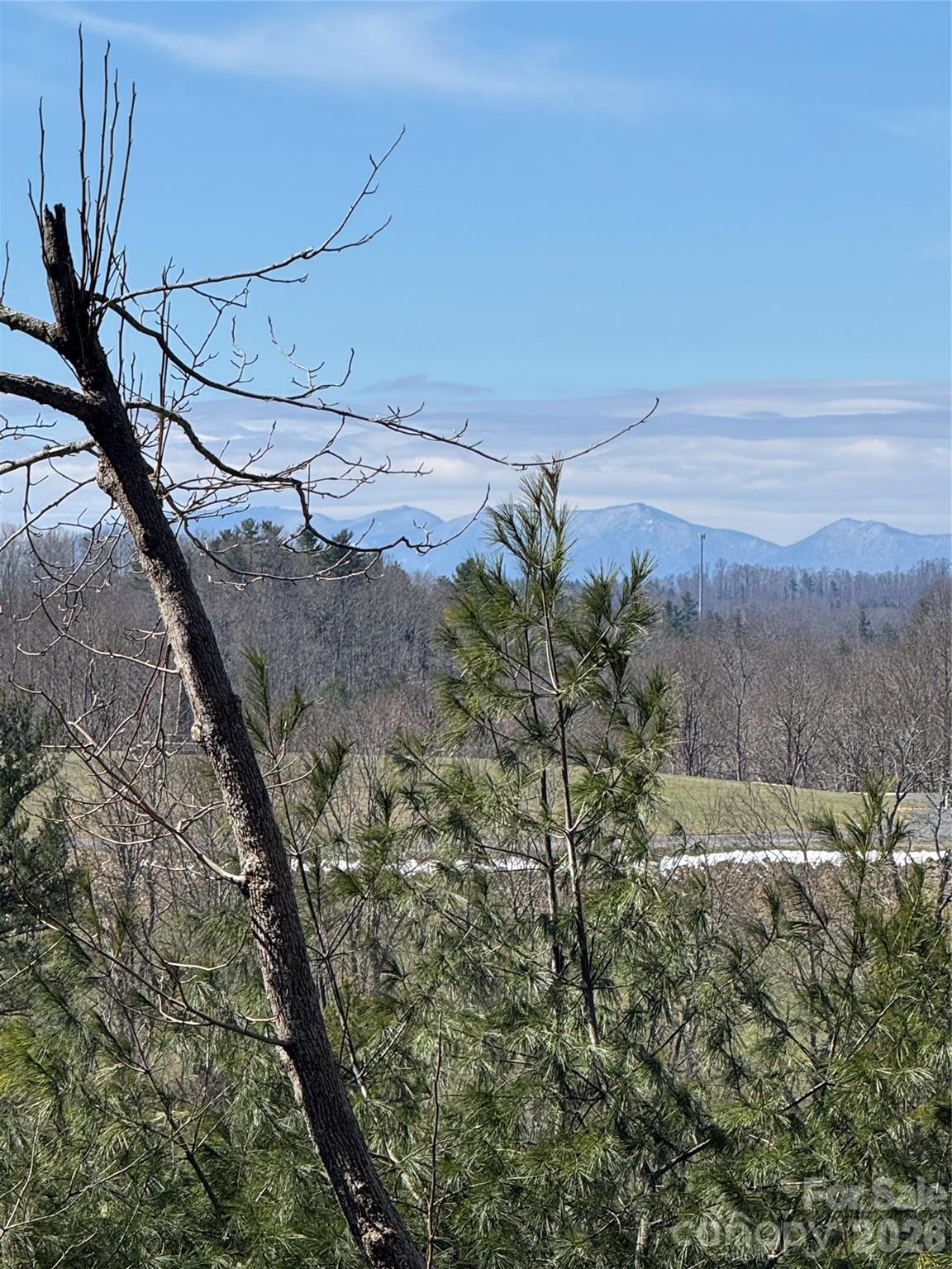 365 Trout Brook Loop Newland NC 28657