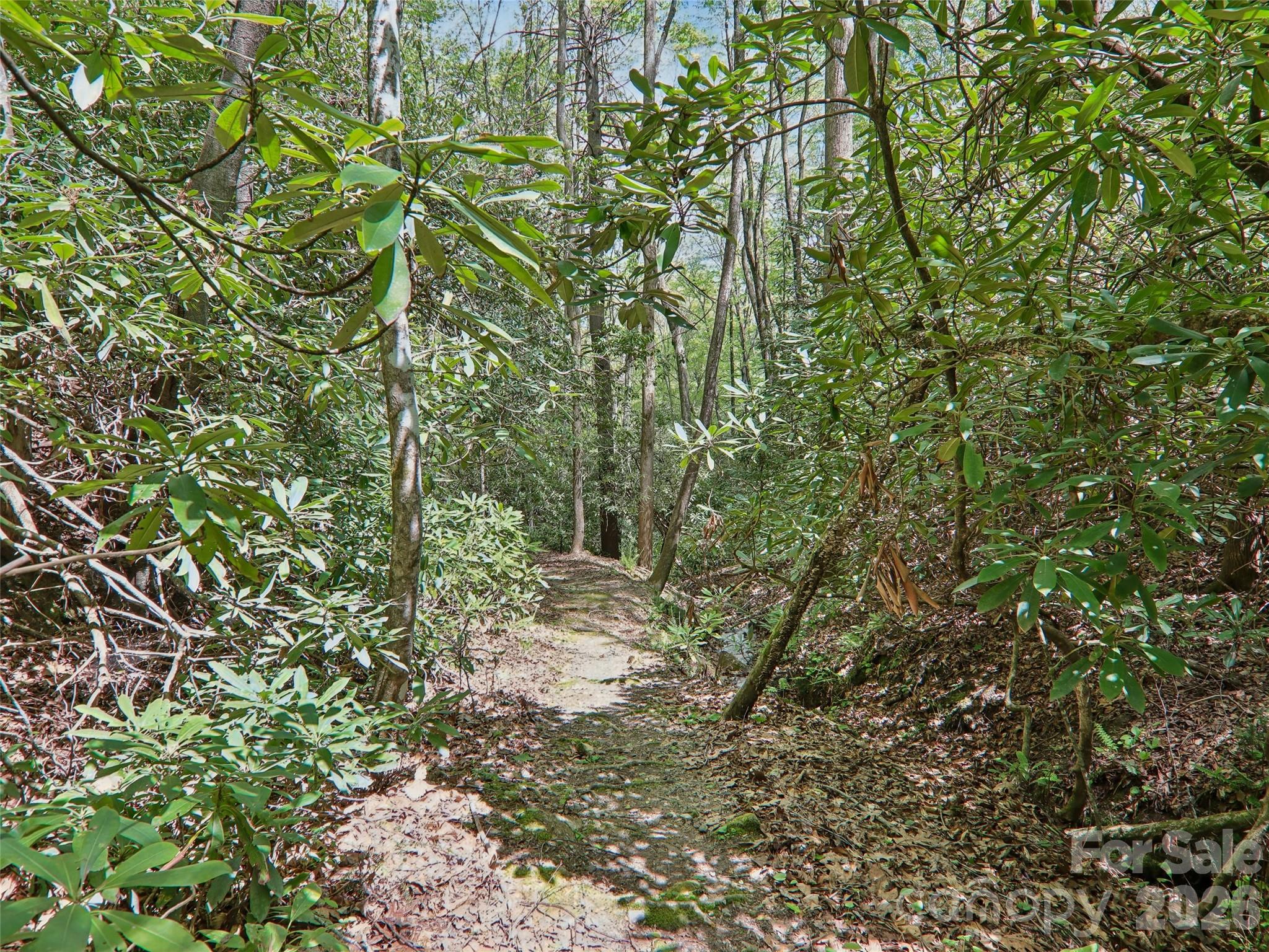 554 Pisgah Forest Drive Pisgah Forest NC 28768