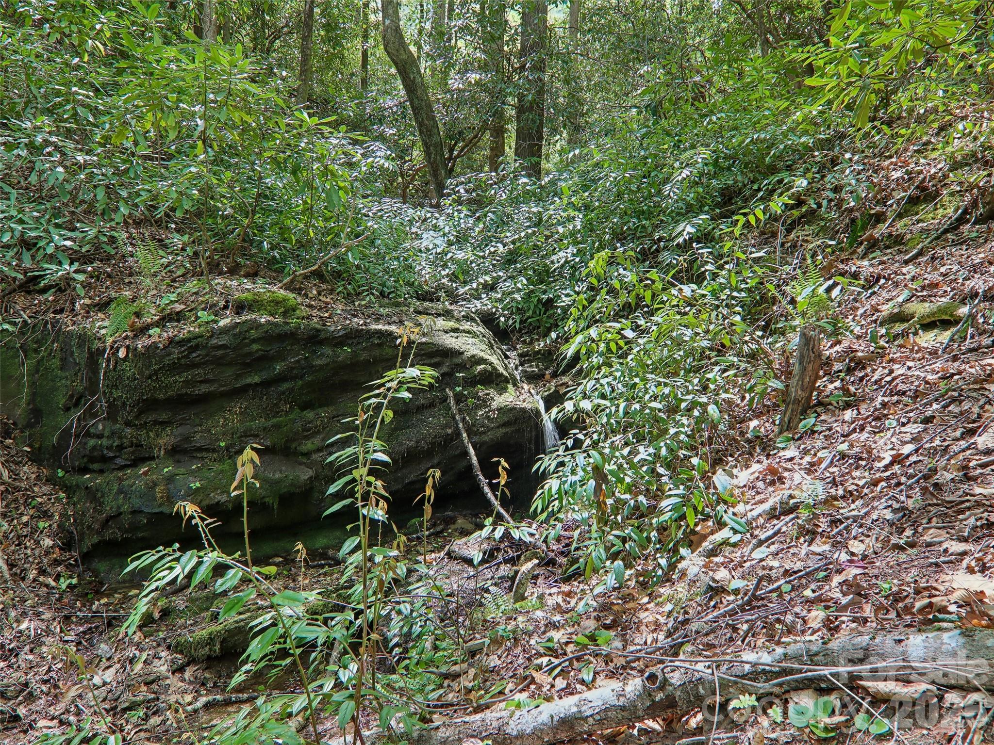 554 Pisgah Forest Drive Pisgah Forest NC 28768